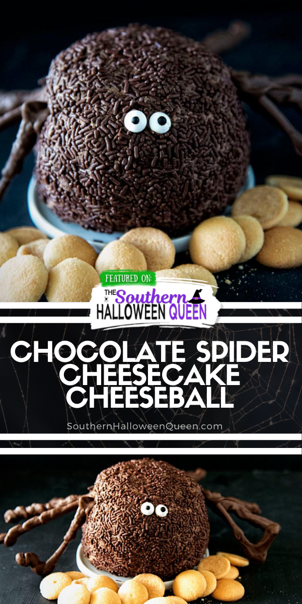 A sneaky spider is creeping up to the dessert table in the shape of this Chocolate Spider Cheesecake Cheeseball!  via @southernhalloweenqueen