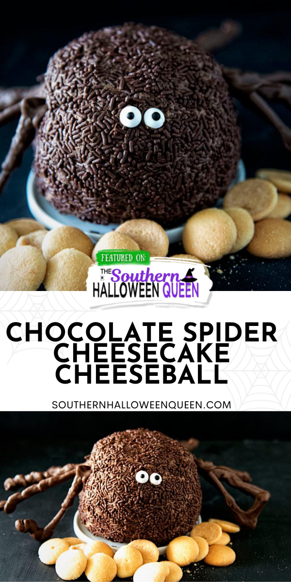 A sneaky spider is creeping up to the dessert table in the shape of this Chocolate Spider Cheesecake Cheeseball!  via @southernhalloweenqueen
